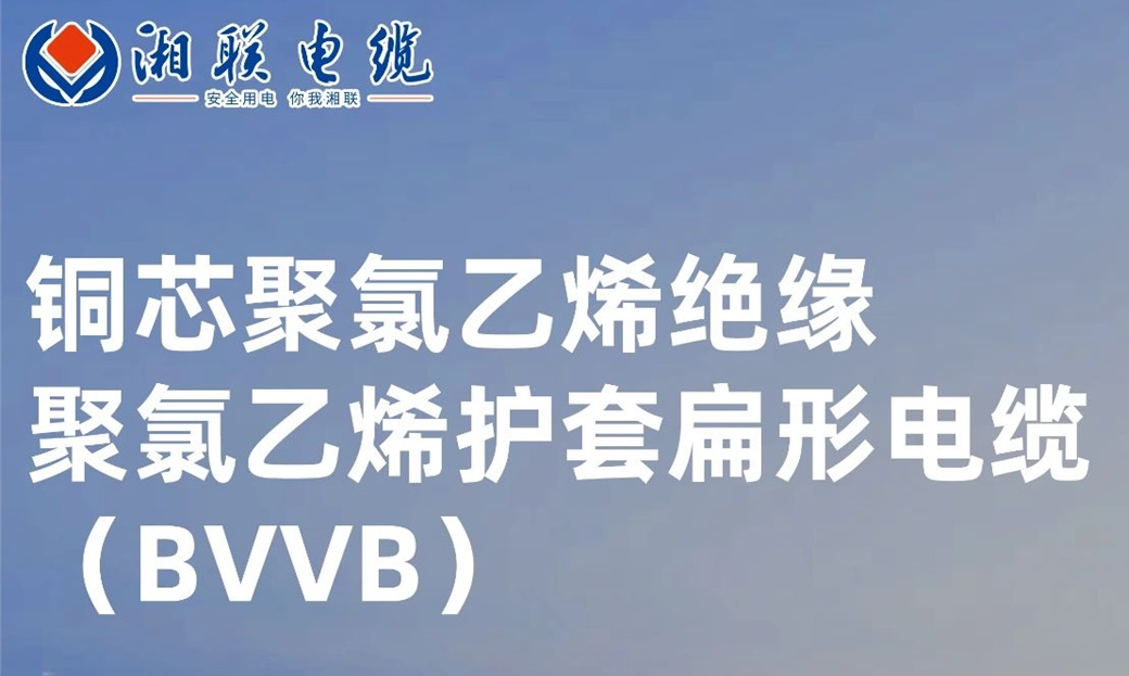 國標認證，品質保障 | 一文解析BVVB（銅芯聚氯乙烯絕緣聚氯乙烯護套扁形電纜）