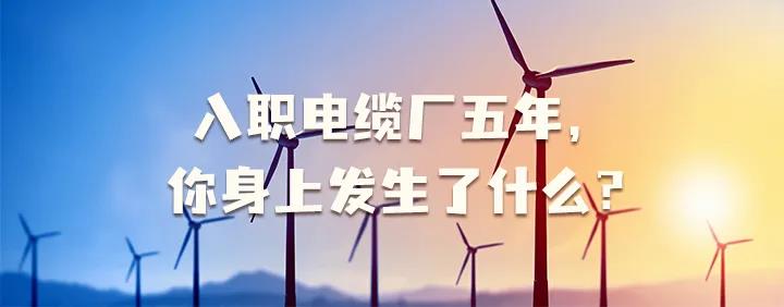 入職電纜廠五年，你身上發(fā)生了哪些變化~